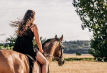 Czy jazda na luzie oszczędza paliwo?