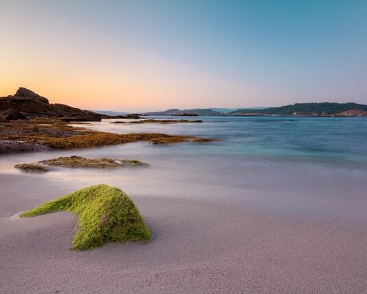 Ile na godzinę jedzie motor 50? Ile na godzinę jedzie motor 50?