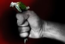 Jaka jest kara za niezgłoszenie kur?