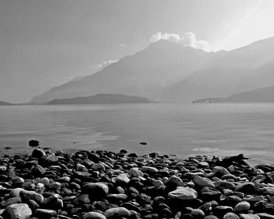 Ile kosztuje Wall Box?