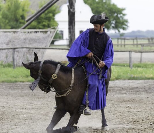 Ile kosztuje wypożyczenie Porsche?