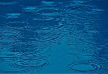 Jak hodowla zwierząt wpływ na środowisko? Jak hodowla zwierząt wpływ na środowisko?