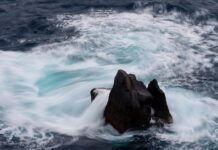 Kiedy ceny nowych aut spadną? Kiedy ceny nowych aut spadną?