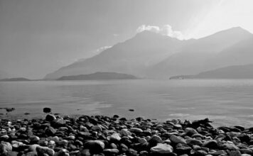 Ile kosztuje używane suzuki swift? Ile kosztuje używane suzuki swift?