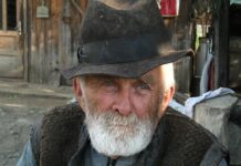 Jak zostać hodowca?