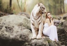 Ile pali czołg Tygrys?