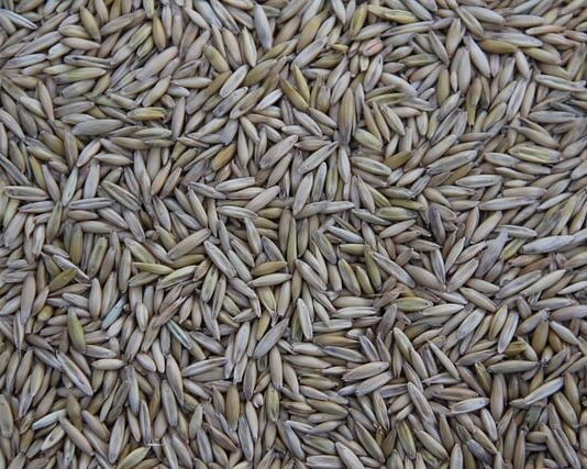 Gdzie jest produkowany Seat Arona?