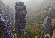 Ile kosztuje Ogar? Ile kosztuje Ogar?