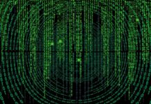 Skąd wzięła się nazwa samochód?