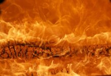 Jaka była pierwsza marka samochodu? Jaka była pierwsza marka samochodu?