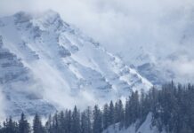 Czy pojazd holowany musi mieć przegląd? Czy pojazd holowany musi mieć przegląd?