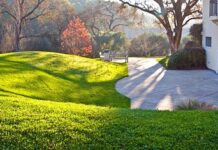 Kto wydaje zezwolenie kategorii I?